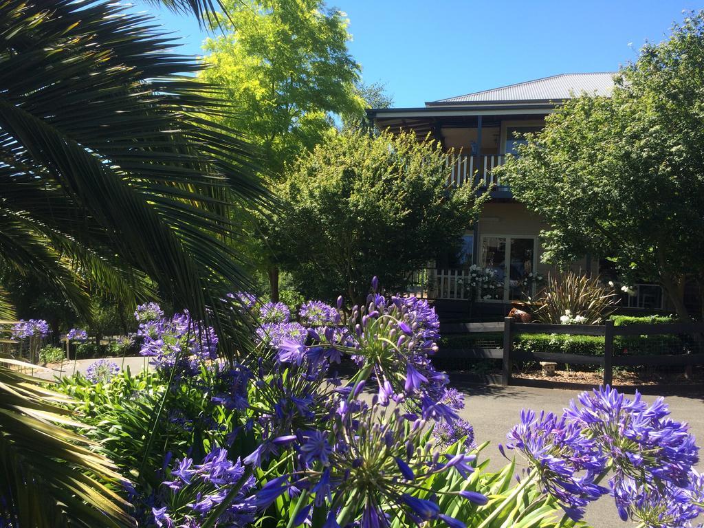 Ridge Bed & Breakfast
