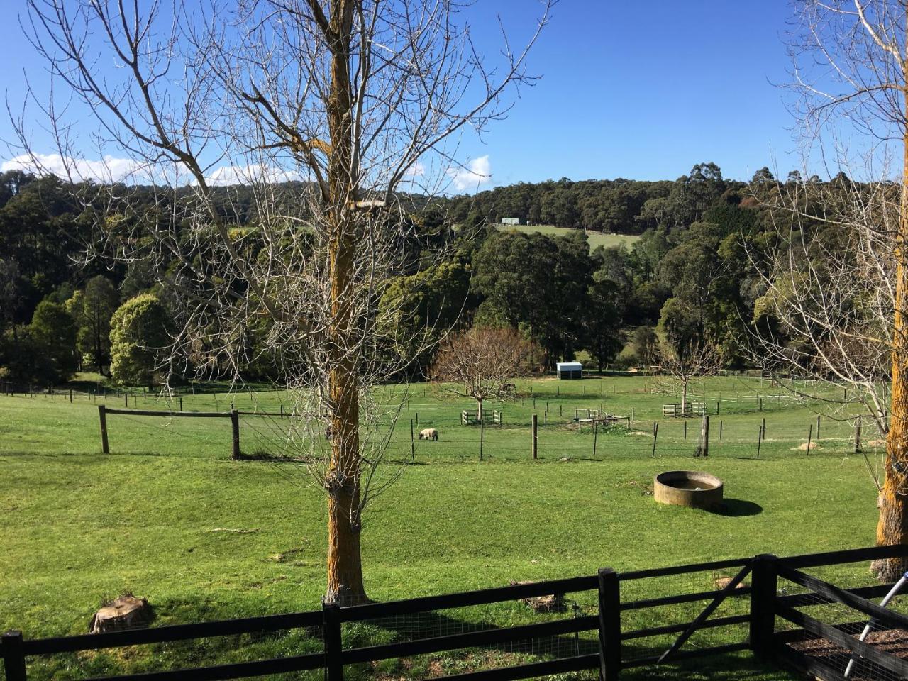Bed & Breakfast Ridge Emerald